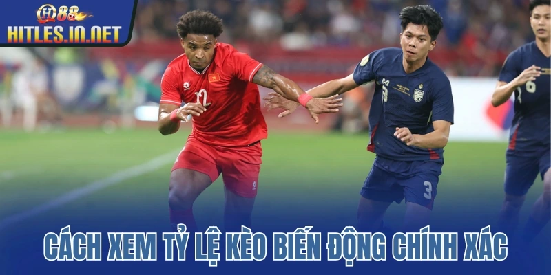 Cách xem tỷ lệ kèo biến động chính xác Cách xem tỷ lệ kèo biến động chính xác