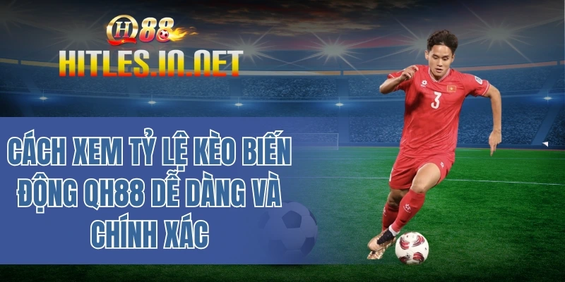 Cách xem tỷ lệ kèo biến động QH88 dễ dàng và chính xác