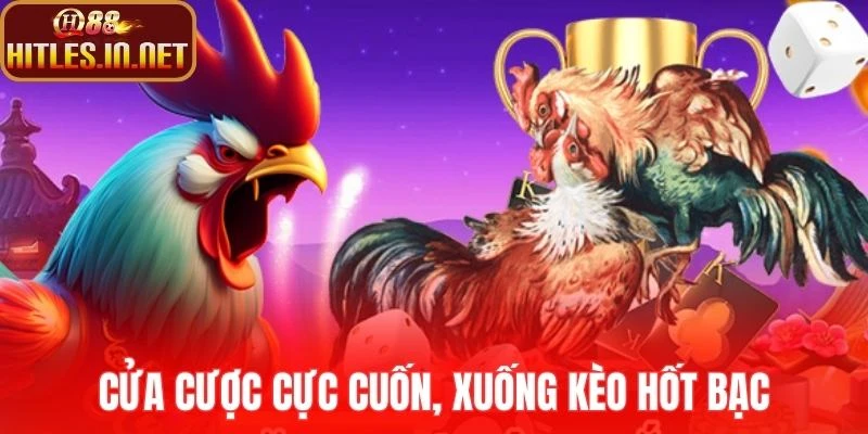 Cửa cược cực cuốn, xuống kèo hốt bạc