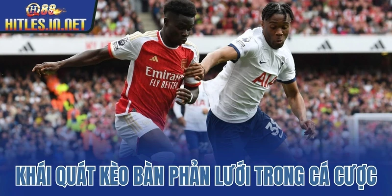 Khái quát kèo bàn phản lưới trong cá cược Khái quát kèo bàn phản lưới trong cá cược