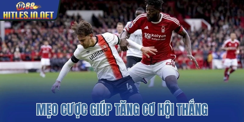 Mẹo cược chuẩn xác giúp tăng cơ hội thắng cược Mẹo cược chuẩn xác giúp tăng cơ hội thắng cược