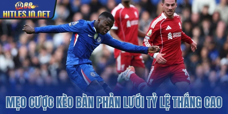 Mẹo cược kèo bàn phản lưới với tỷ lệ thắng cao Mẹo cược kèo bàn phản lưới với tỷ lệ thắng cao