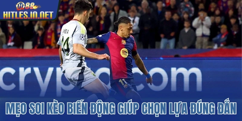 Mẹo soi kèo biến động giúp chọn lựa kèo đúng đắn Mẹo soi kèo biến động giúp chọn lựa kèo đúng đắn