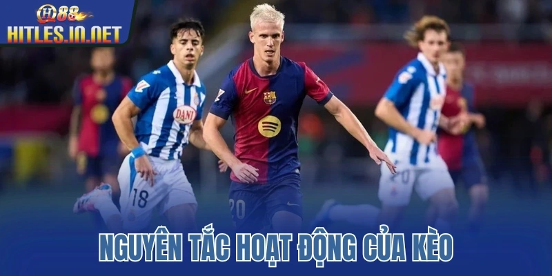 Nguyên tắc hoạt động của kèo