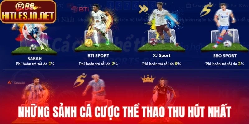 Những sảnh cá cược thể thao thu hút nhất