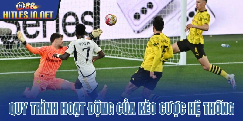 Quy trình hoạt động của kèo cược hệ thống Quy trình hoạt động của kèo cược hệ thống