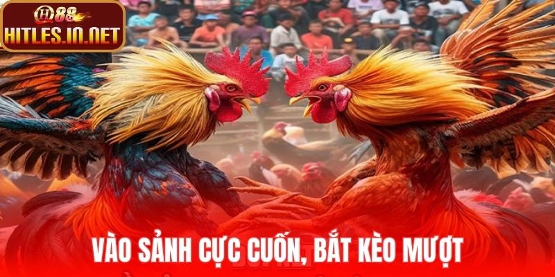 Vào sảnh cực cuốn, bắt kèo mượt