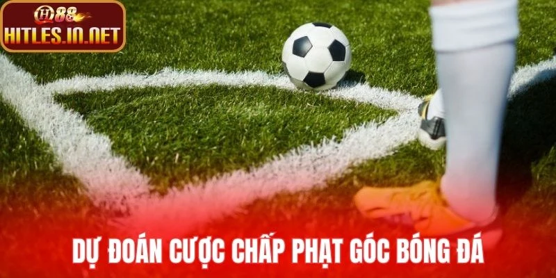 Dự đoán cược chấp phạt góc bóng đá