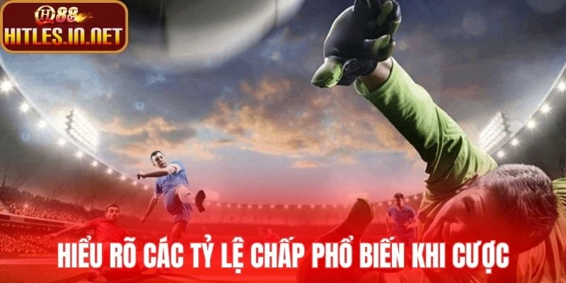 Hiểu rõ các tỷ lệ chấp phổ biến khi cược