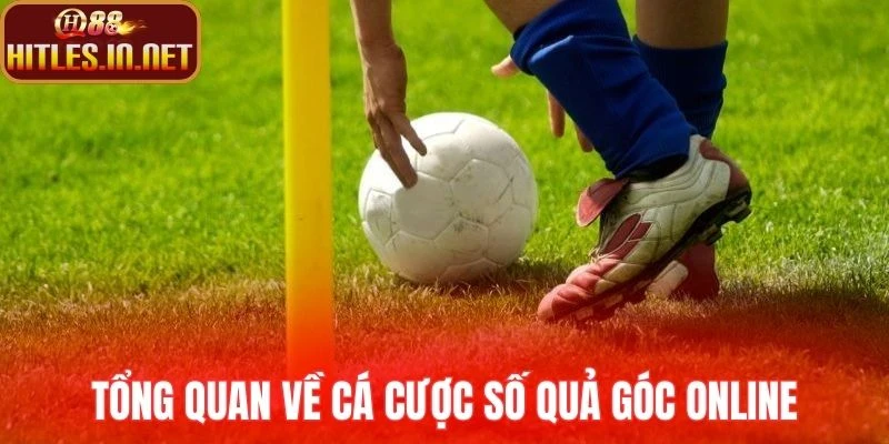 Tổng quan về cá cược số quả góc online